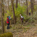 Conservation Efforts for Natural Resources in Richmond, Kentucky: A Comprehensive Guide