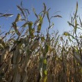 The Benefits of Sustainable Management of Natural Resources in Richmond, Kentucky