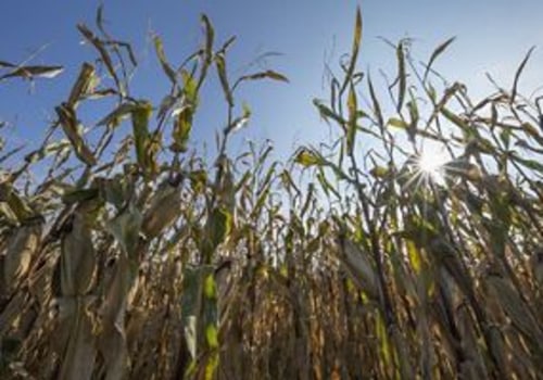 The Benefits of Sustainable Management of Natural Resources in Richmond, Kentucky