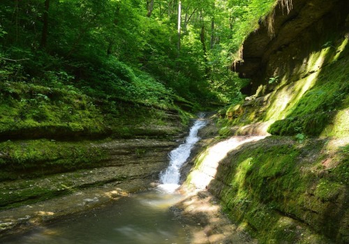 Exploring Natural Resources in Richmond, Kentucky